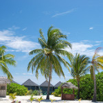Top Attractions in The Maldives To Visit