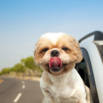 Your Road Trip Guide To 2014: Five Destinations Worth The Mileage in the US