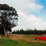 Top Things To Do In Kangaroo Island