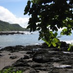 Heading To Costa Rica? Here Are The Top Things To Do In Montezuma...