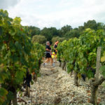Best Wine Regions in France
